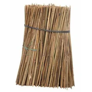 Bamboo Canes 6' 250 Pack