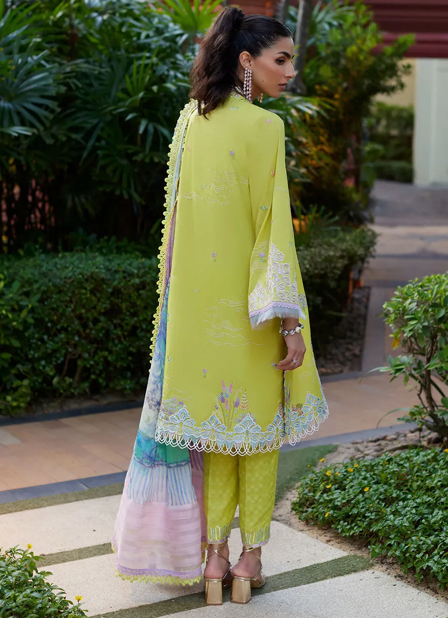 Farah Talib Aziz | Suay Lawn 24 | KELAYA KIWI