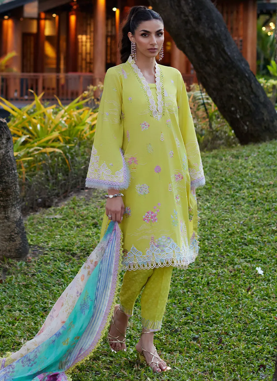 Farah Talib Aziz | Suay Lawn 24 | KELAYA KIWI