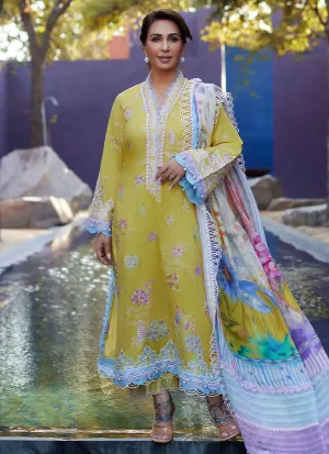 Farah Talib Aziz | Suay Lawn 24 | KELAYA KIWI