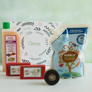 Healthy Homes