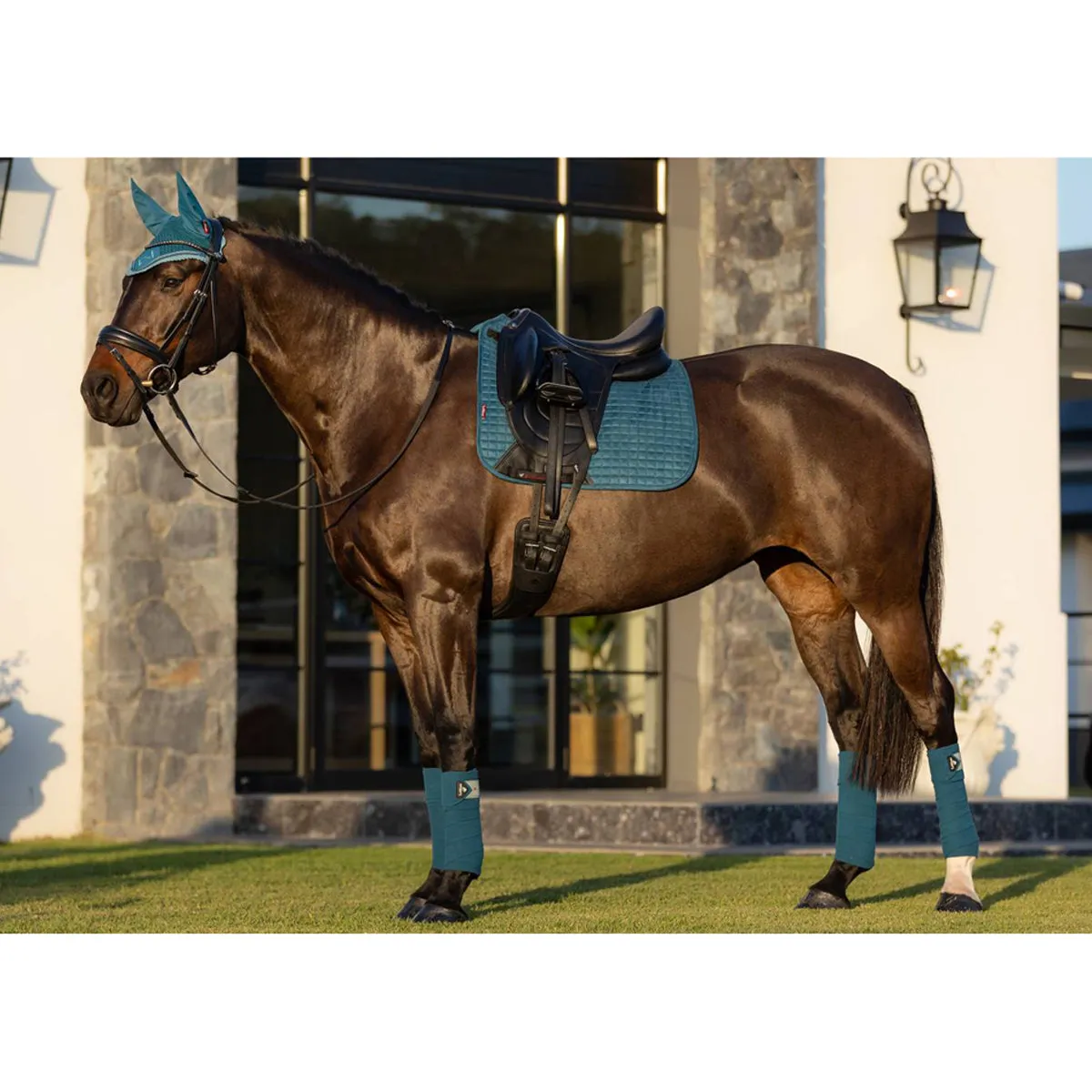LeMieux Suede Dressage Square Pad