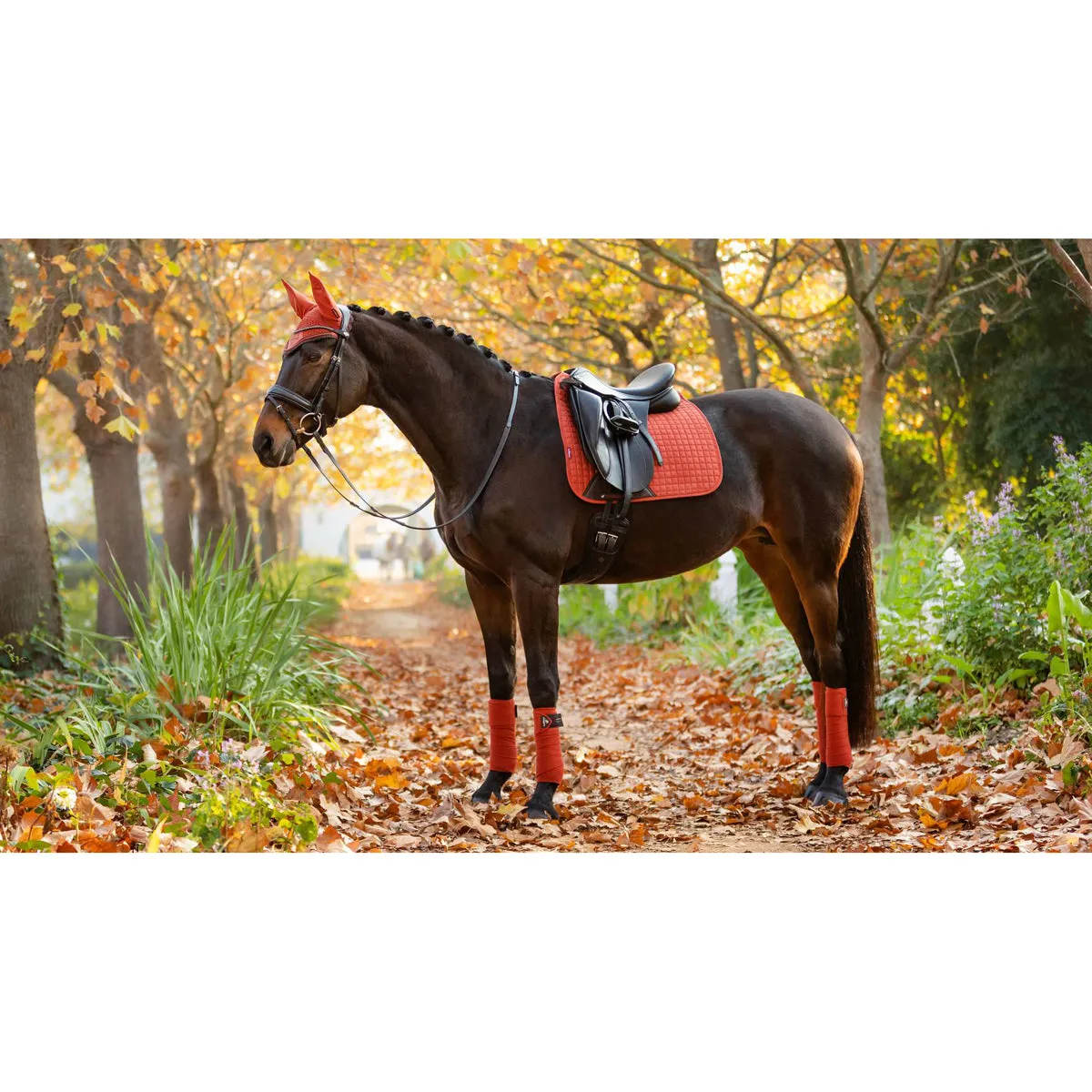 LeMieux Suede Dressage Square Pad