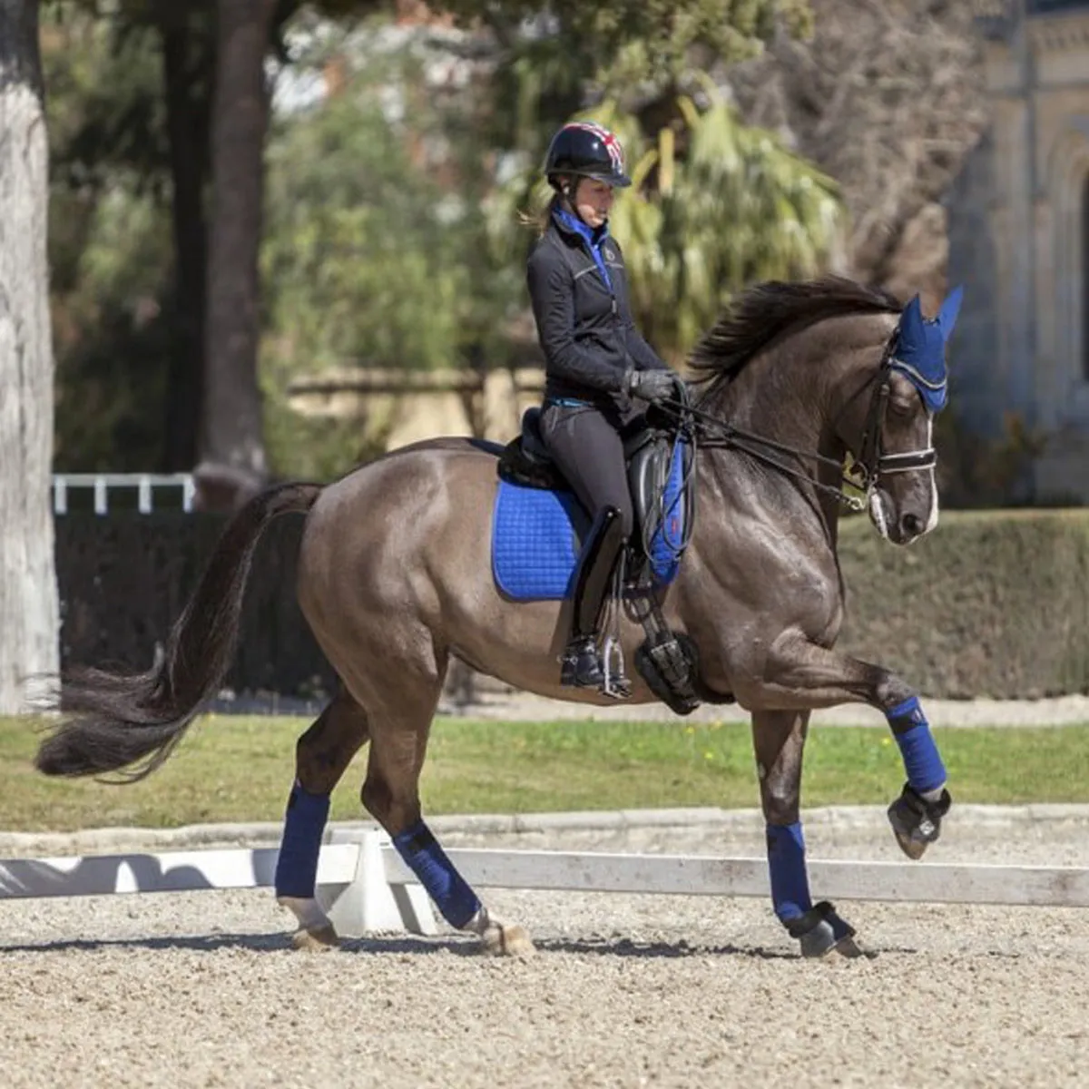 LeMieux Suede Dressage Square Pad