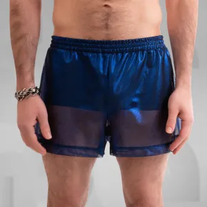 Metallic Mesh Shorts