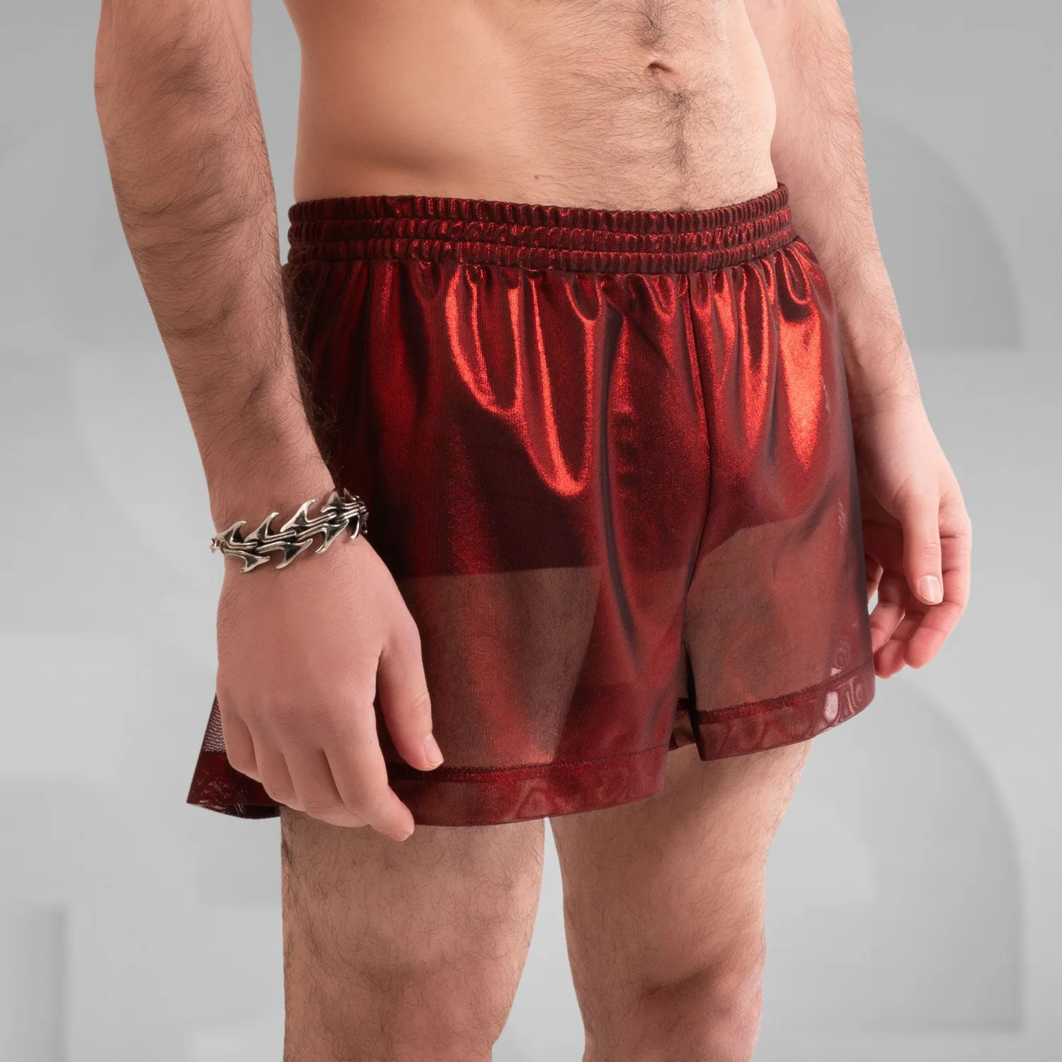 Metallic Mesh Shorts