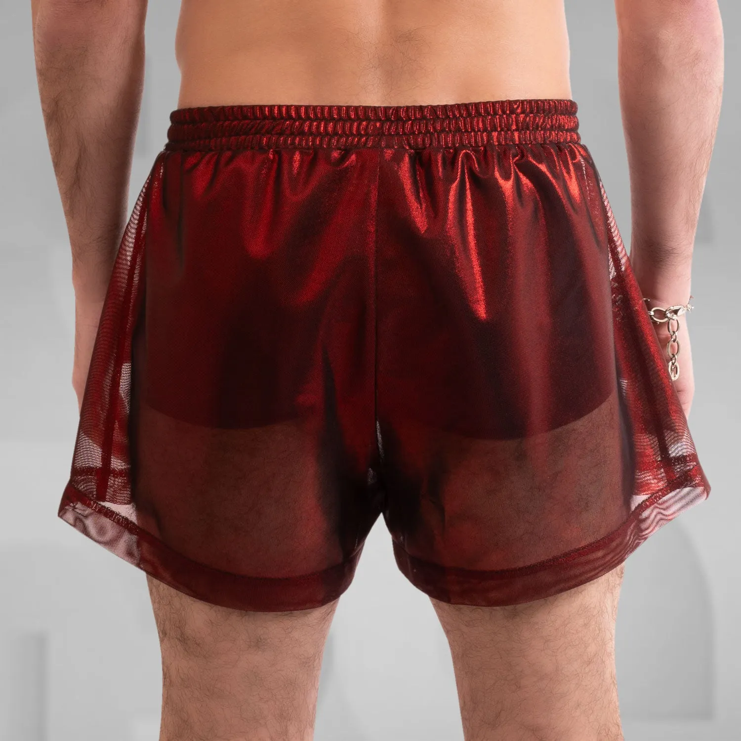 Metallic Mesh Shorts