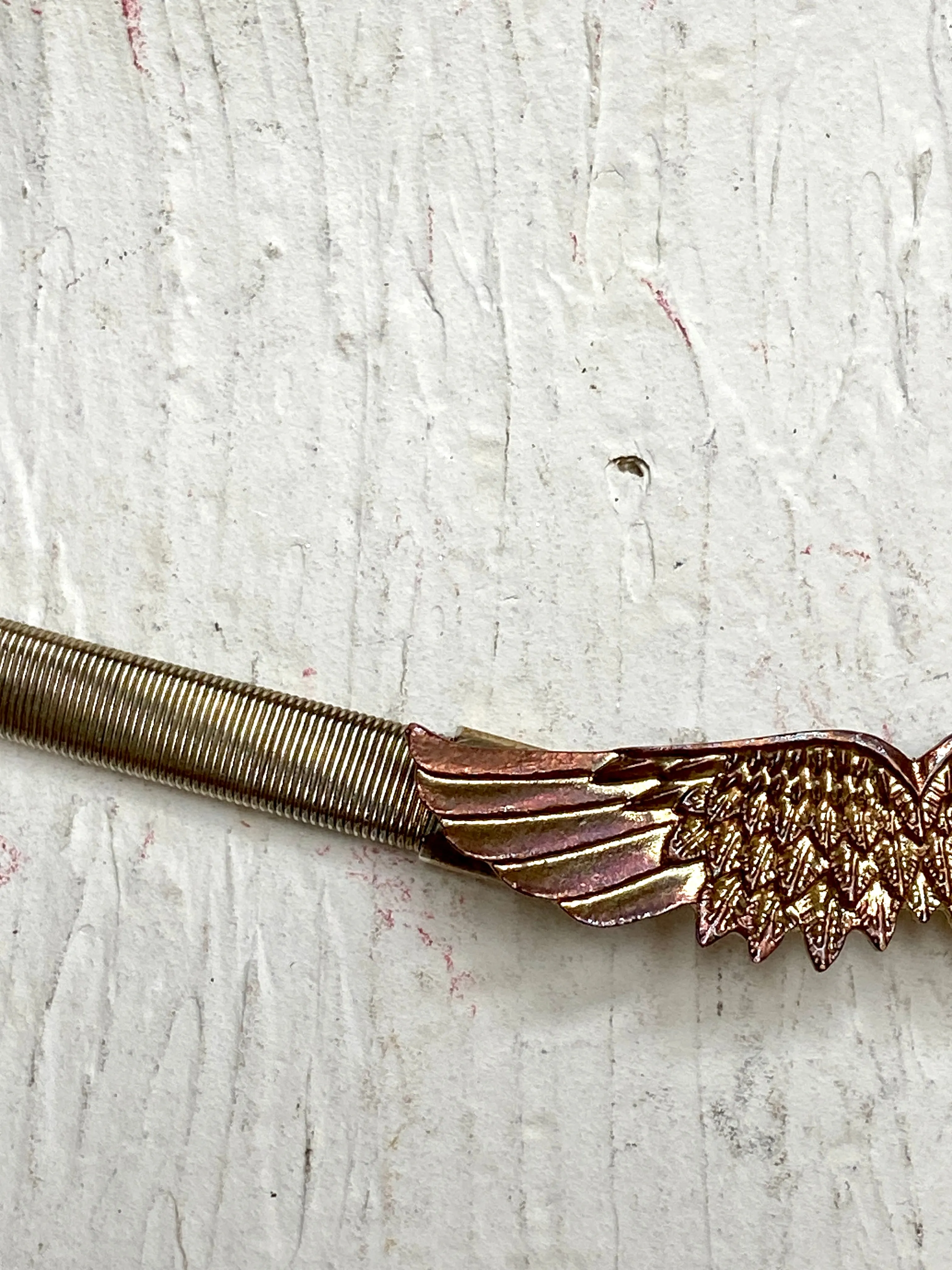 Vintage wings belt